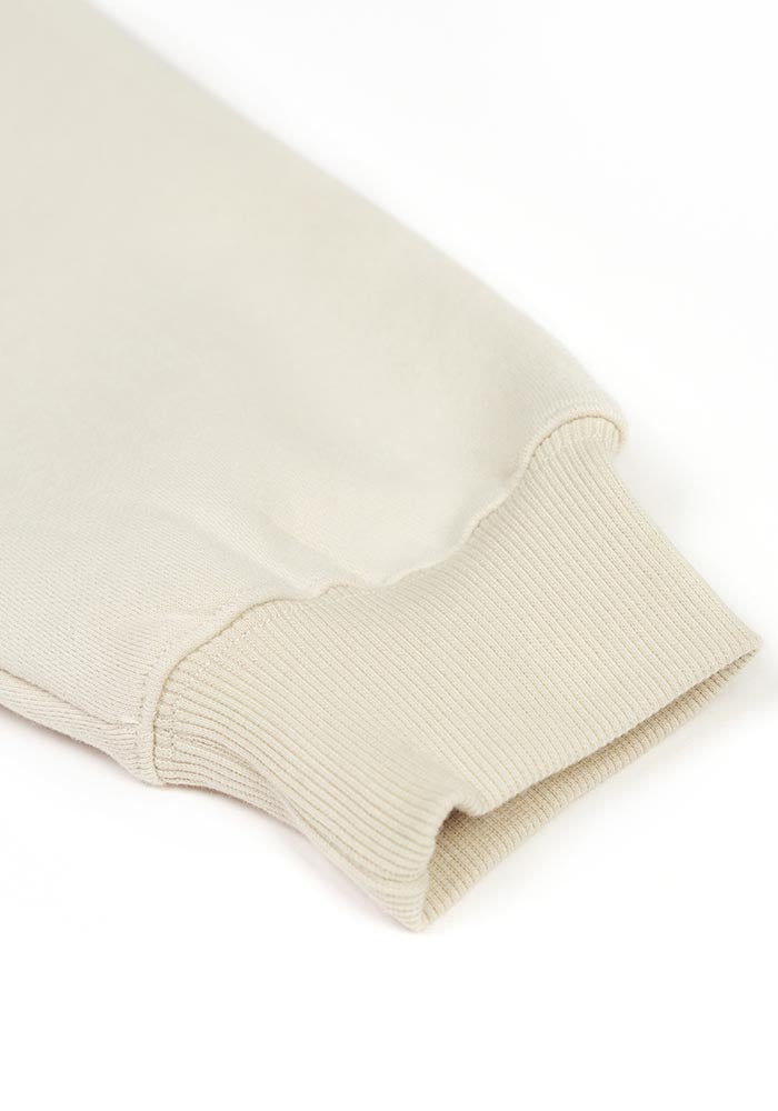 350G Heavyweight Oversized Pullover Hoodie