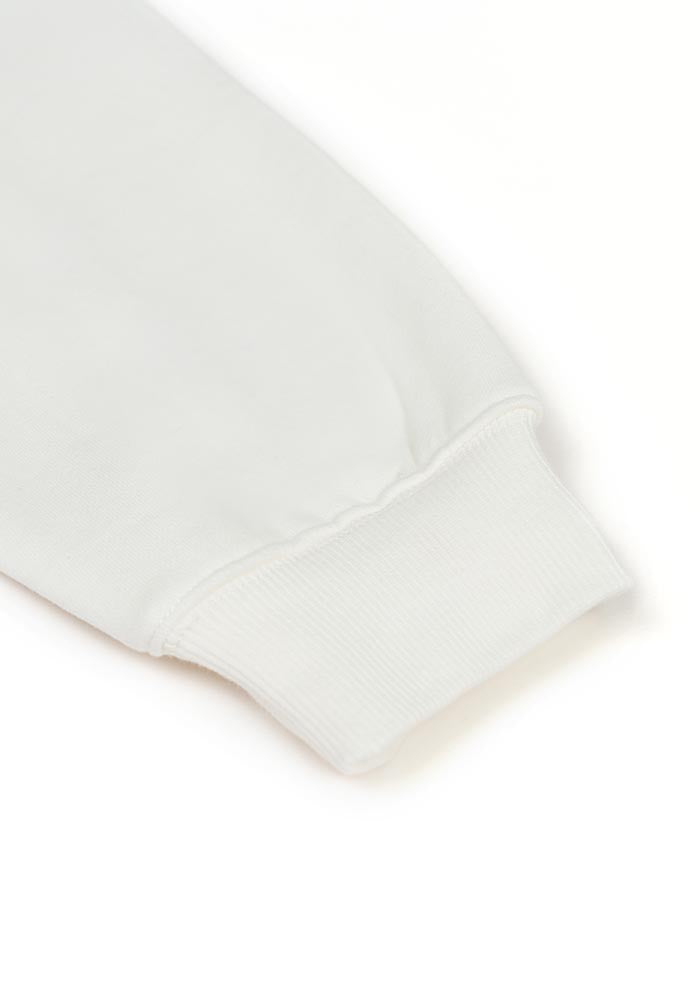 350G Heavyweight Oversized Pullover Hoodie